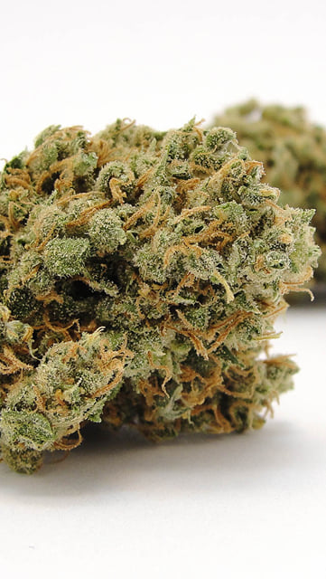 Durban Poison