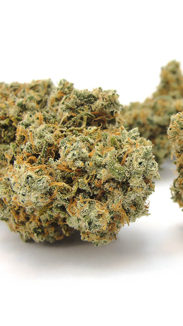 Platinum Jack