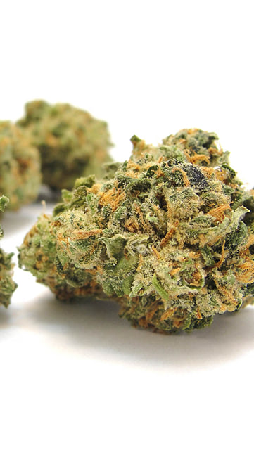 Strawberry Cough
