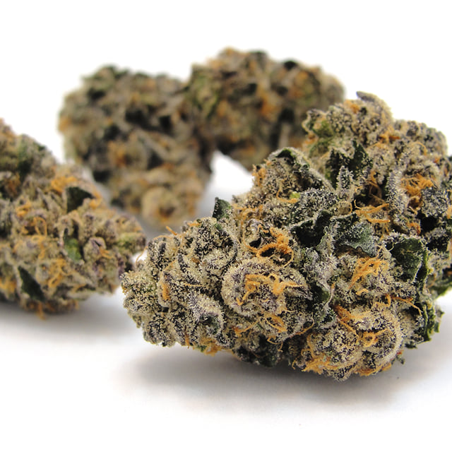 Girl Scout Cookies