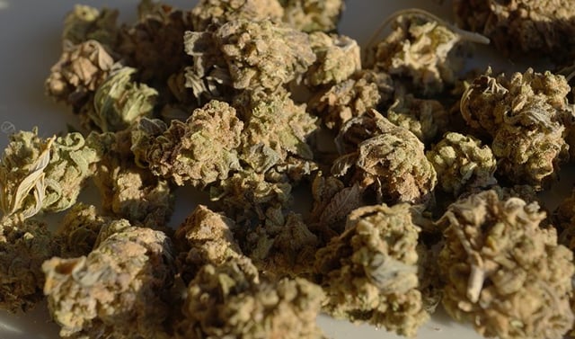 Candyland - Ounce Special -