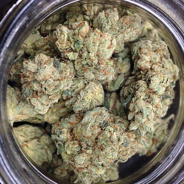 White Widow - Indoor AAA+