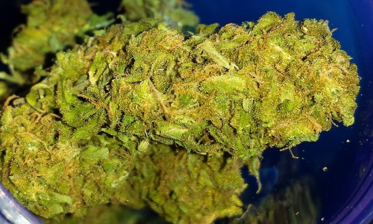 Big Bud - Two Rivers - Outdoor