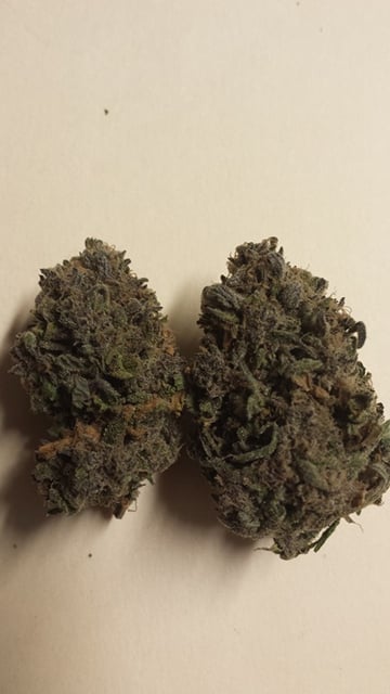 GDP (Grand Daddy Purple) - Sungrown AAA+