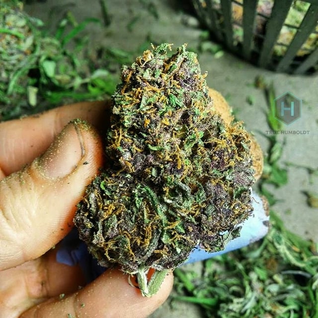 Amethyst