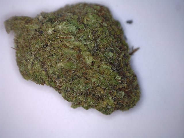 Sunset Sherbert