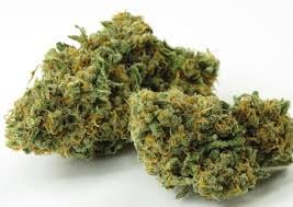 Green Crack