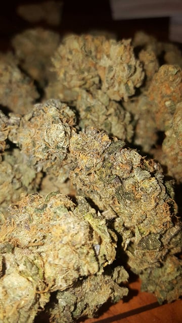 Sunset Sherbet