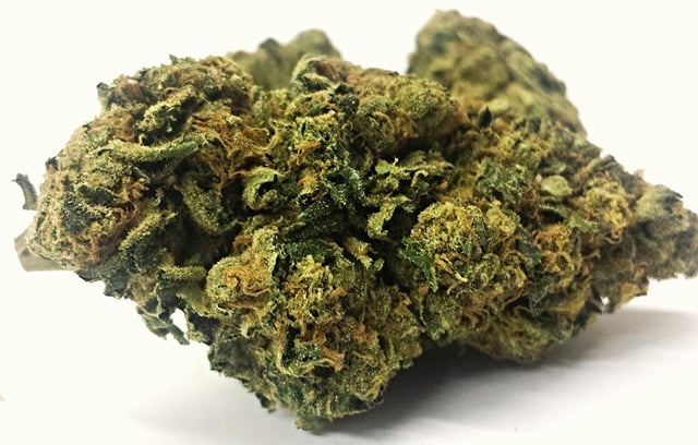 Girl Scout Cookies!!!
