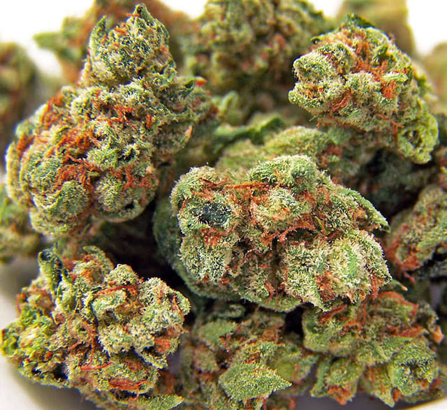 "ON SALE" Top Shelf Sampler - Pick any 4 strains $125 Half Oz