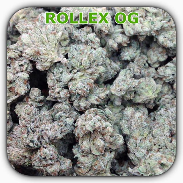 ROLLEX OG
