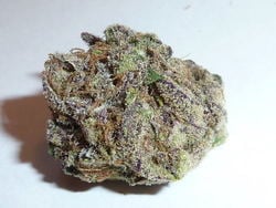 Grape God