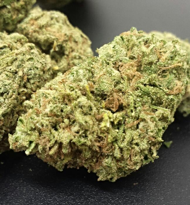 White Rhino