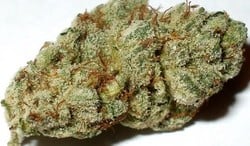 Platinum Kush