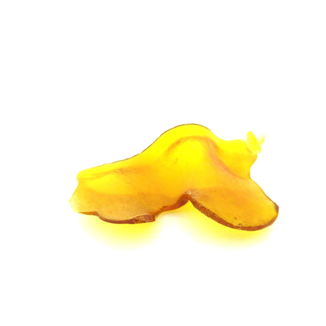 Rump Headstash Brain Wreck- 0.5g (NR)