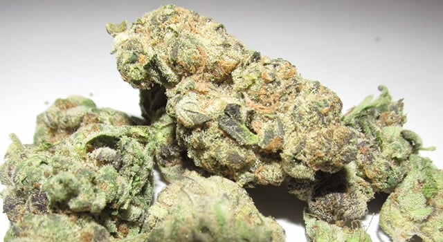 Platinum Girl Scout Cookies