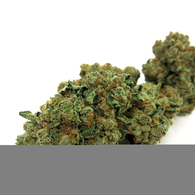 Original OG Kush