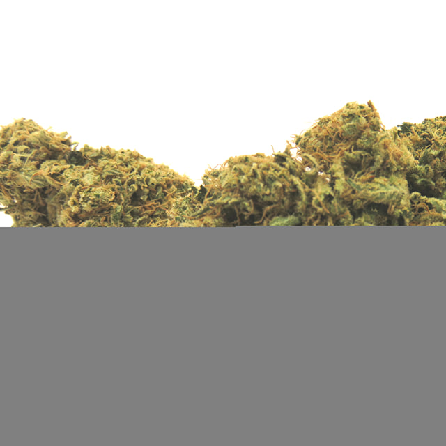 Chem Dawg