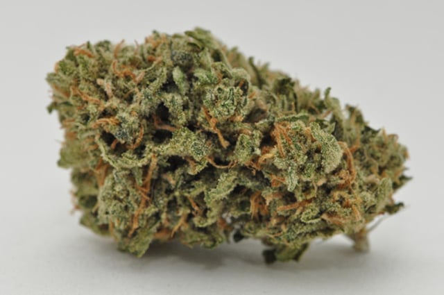 Blue Dream - Indoor