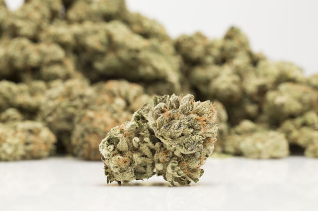 Girl Scout Cookies