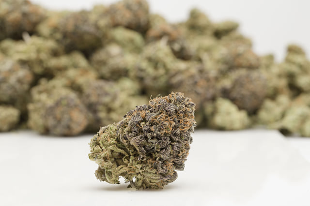 Purple Urkle