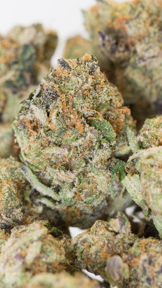 Girl Scout Cookies