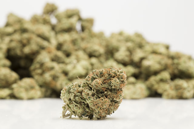 Platinum Girl Scout Cookies