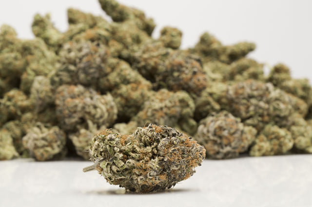 Sour OG