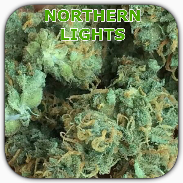 NORTHERN LIGHTS
