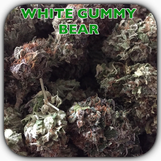 WHITE GUMMY BEAR