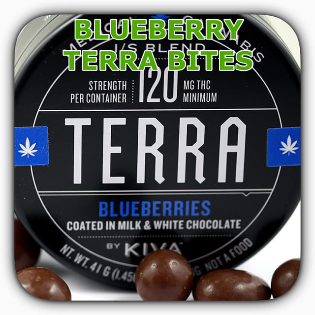 Kiva Blueberry Terra Bites