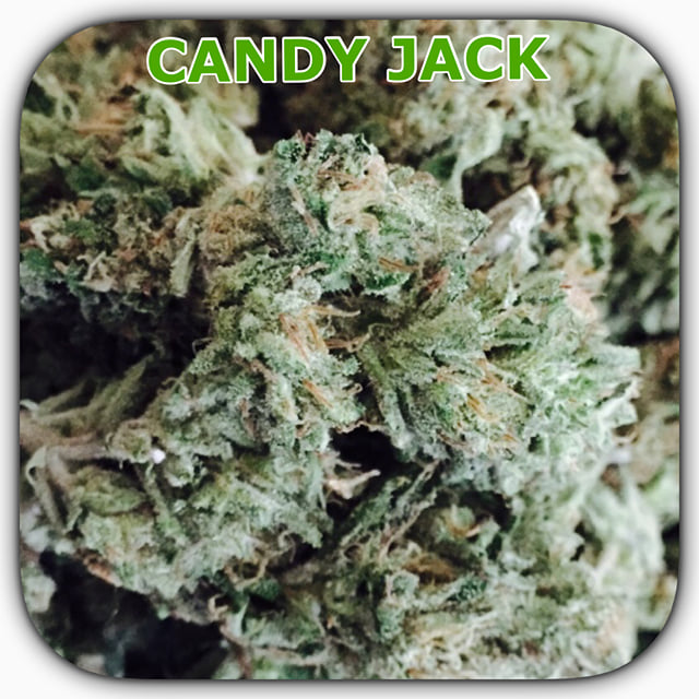 CANDY JACK