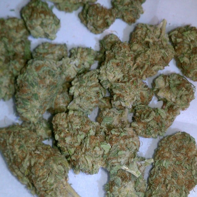 Blackberry Kush