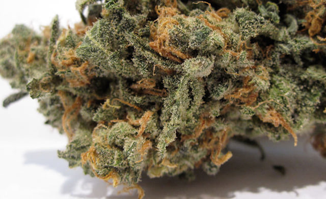 Blue Dream
