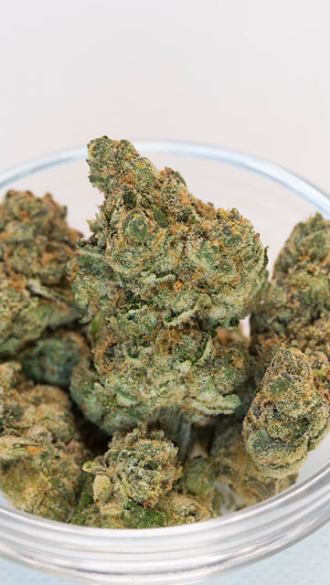 3. π Girl Scout Cookies π $80 1/4sπ