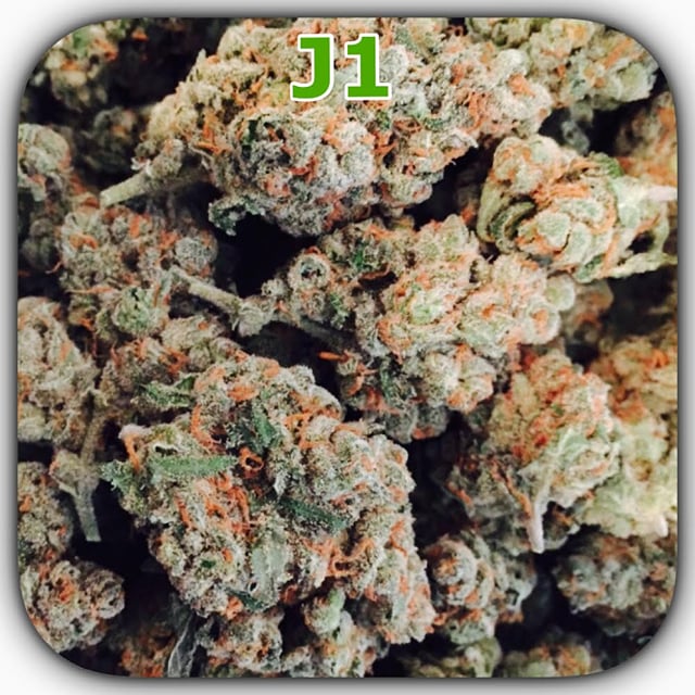 J1