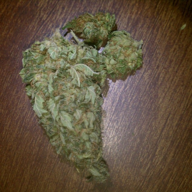 Lemon Haze