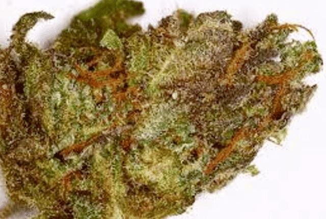 Phantom Cookies