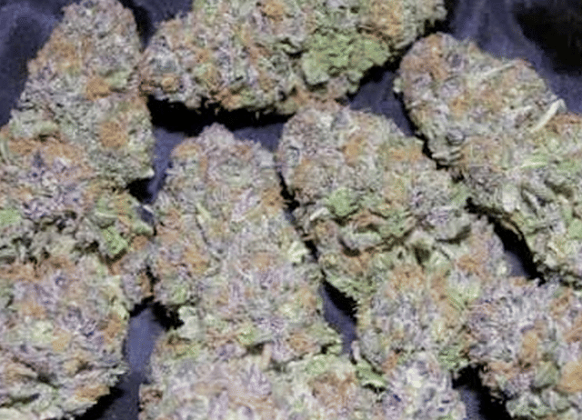 Purple Cookies (Topshelf)