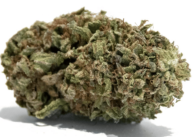 Woody Kush