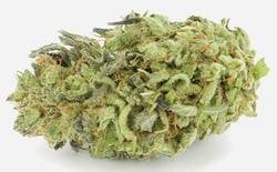 Jedi Kush