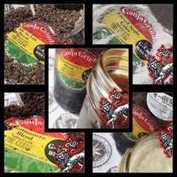 Ganja Grindz English Breakfast Tea Hybrid Teabag (50mg)