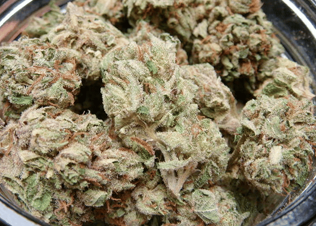 U2 Kush