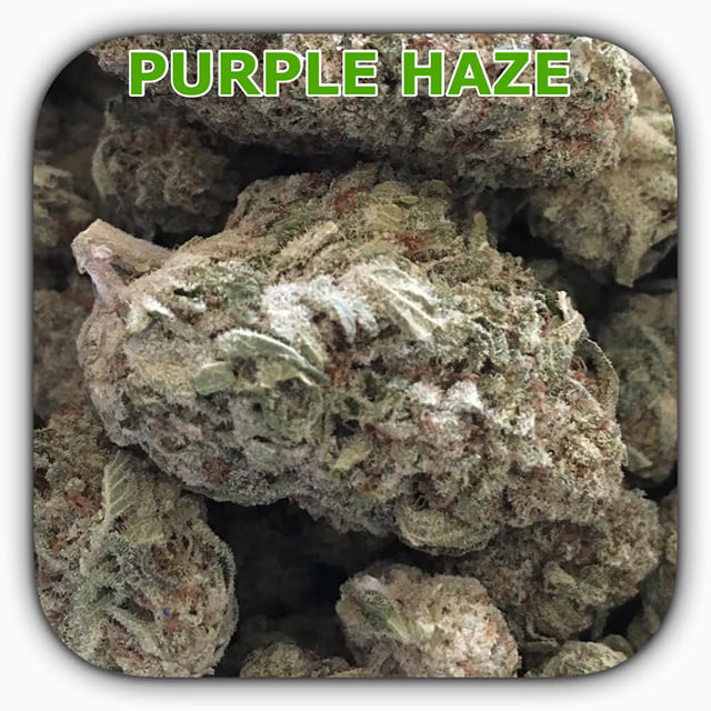 PURPLE HAZE