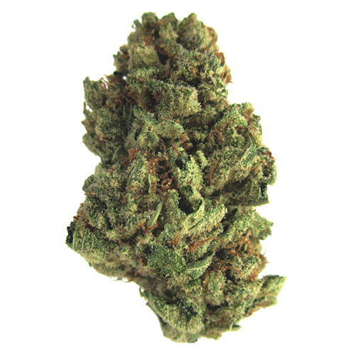 GORILLA GLUE #4