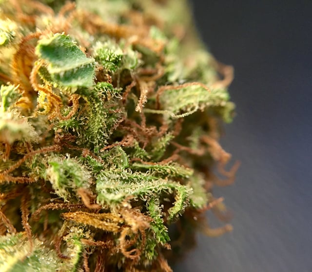 White Widow