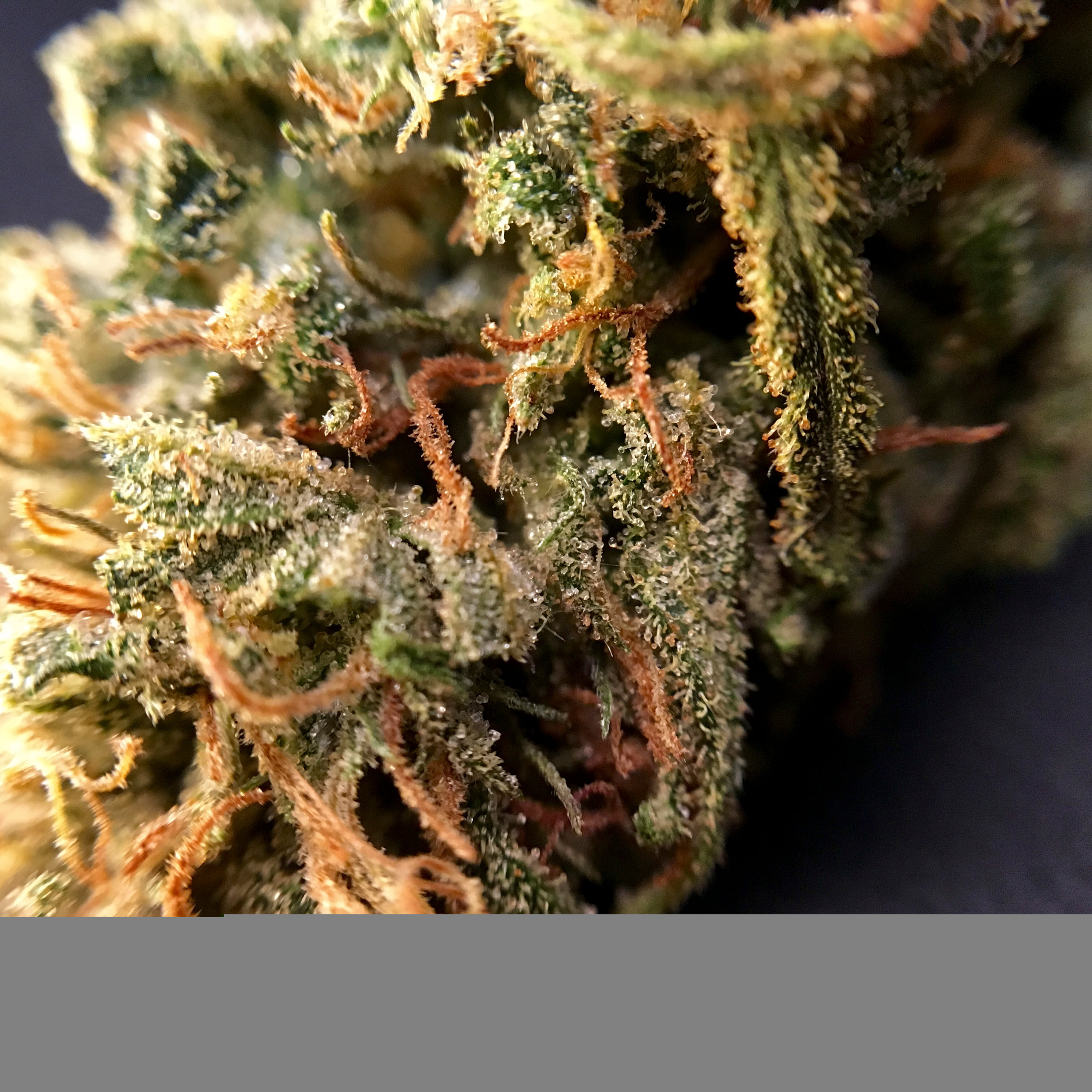 Blue Dream