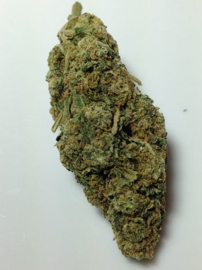 Lemon Haze