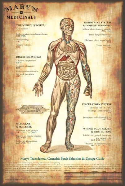 Transdermal Topical Compound - CBD:THC