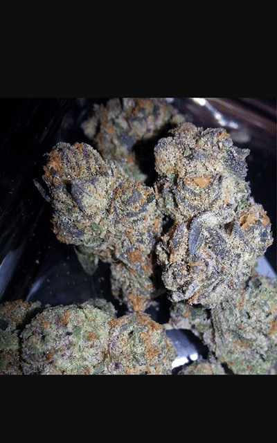 Blue Cut Cookies